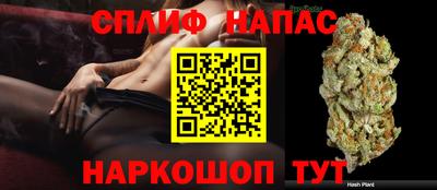 альфа пвп Белореченск
