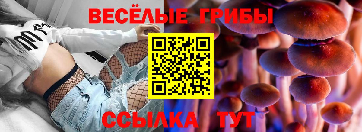 купить закладку  Вход с VPN  Галлюциногенные грибы MAGIC MUSHROOMS  Грязи  Псилоцибиновые грибы Psilocybine cubensis 