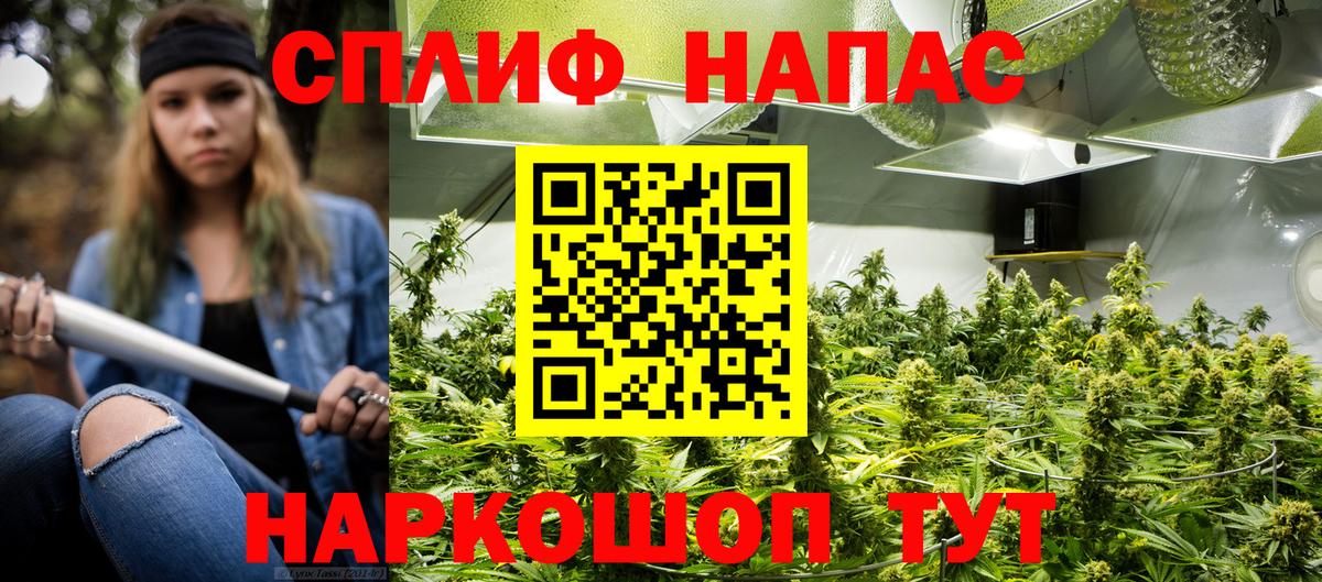 Бошки марихуана сатива  Бошки марихуана тримм  Грязи  Вход с VPN  МАРИХУАНА марихуана  Бошки марихуана SATIVA & INDICA 